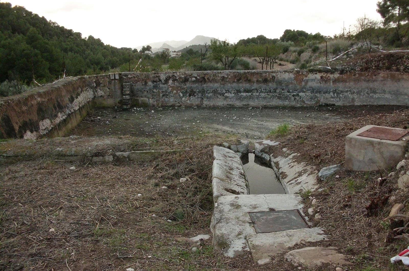 Limpieza de balsas