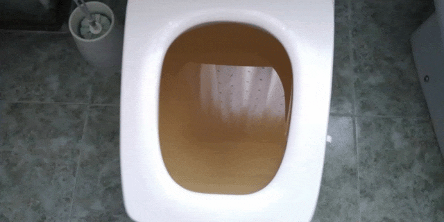 como desatascar el wc CÓMO DESATASCAR EL WC